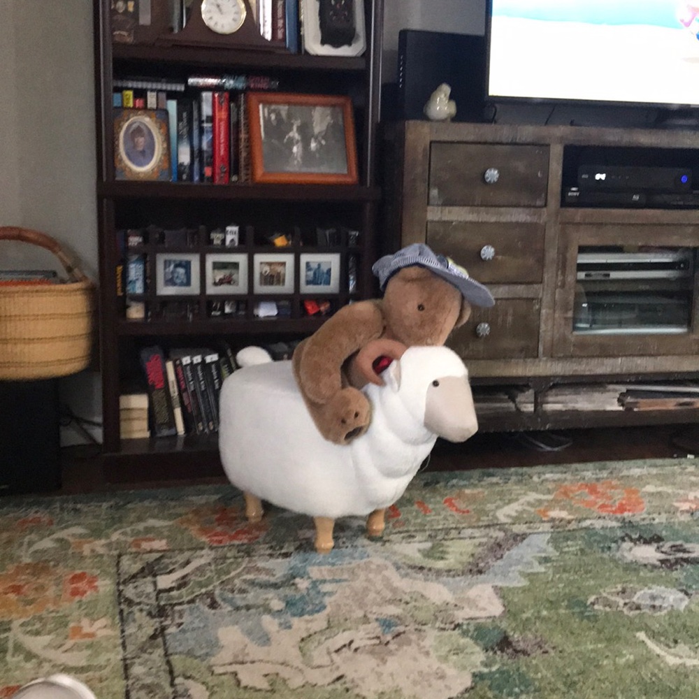 Meet your Posher, Teresa